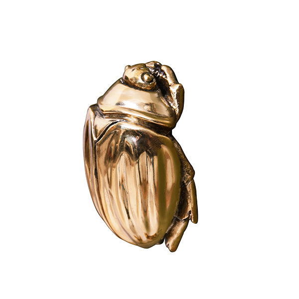 Worlds Away - Beetle Knob In Brass - FORTUNE HABR - GreatFurnitureDeal