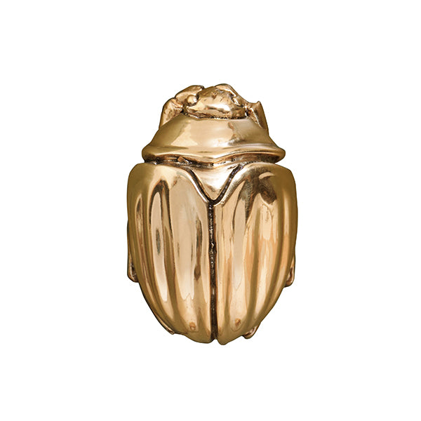 Worlds Away - Beetle Knob In Brass - FORTUNE HABR - GreatFurnitureDeal
