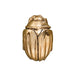 Worlds Away - Beetle Knob In Brass - FORTUNE HABR - GreatFurnitureDeal