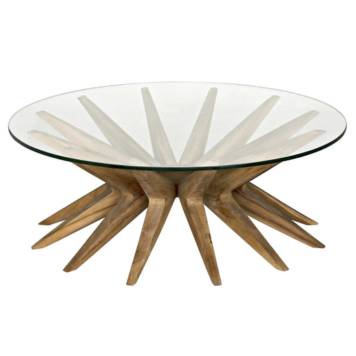 Noir Furniture - Waldo Coffee Table - GTAB1129T - GreatFurnitureDeal