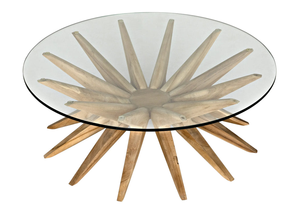 Noir Furniture - Waldo Coffee Table - GTAB1129T