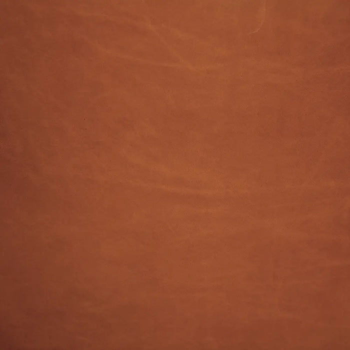 Noir Furniture - Amadeus Sofa in Roman Red - LEA-AS005RR - GreatFurnitureDeal