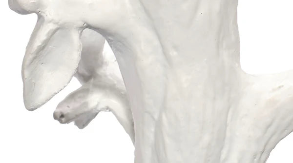 Jamie Young Company - Sycamore Table Lamp - LS9SYCAMTLWH - GreatFurnitureDeal