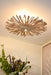 Worlds Away - Large Round Wall Sconce Handcrafted With Whitewash Eucalyptus Wood - RIO LG - GreatFurnitureDeal