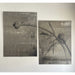 GJ Styles - Stevi Michner Art — Bud on Concrete (Pair) - SA01 - GreatFurnitureDeal