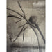 GJ Styles - Stevi Michner Art — Bud on Concrete (Pair) - SA01 - GreatFurnitureDeal