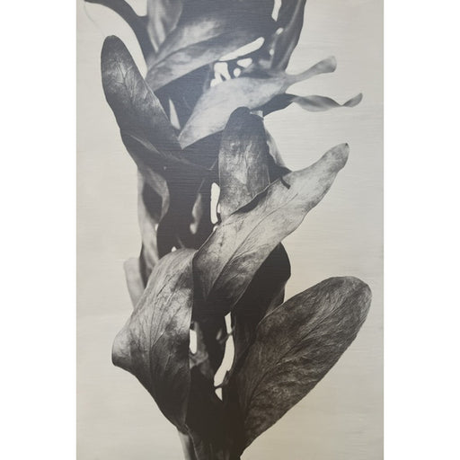 GJ Styles - Stevi Michner Art — Leaf Studies - SA02-1 - GreatFurnitureDeal