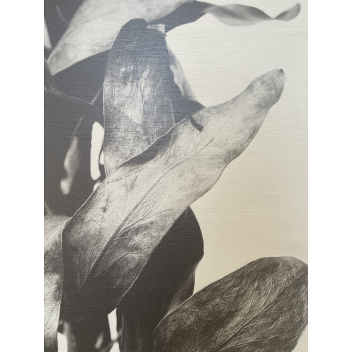 GJ Styles - Stevi Michner Art — Leaf Studies - SA02-1