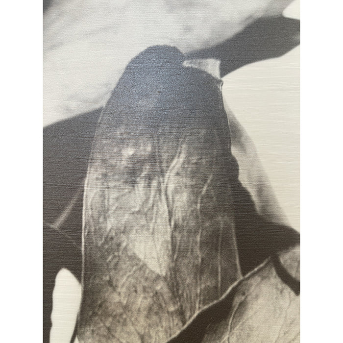 GJ Styles - Stevi Michner Art — Leaf Studies - SA02-1