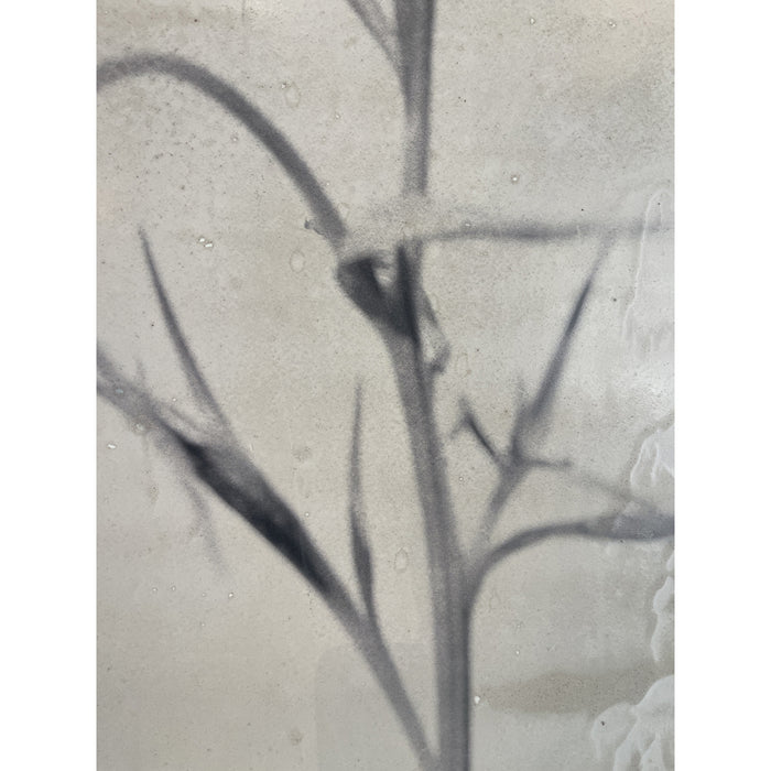 GJ Styles - Stevi Michner Art — Leaf Studies - SA02 - GreatFurnitureDeal