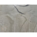 GJ Styles - Stevi Michner Art — Leaf Studies - SA02 - GreatFurnitureDeal
