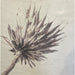 GJ Styles - Stevi Michner Art — Protea Study - SA04 - GreatFurnitureDeal