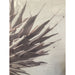 GJ Styles - Stevi Michner Art — Protea Study - SA04 - GreatFurnitureDeal