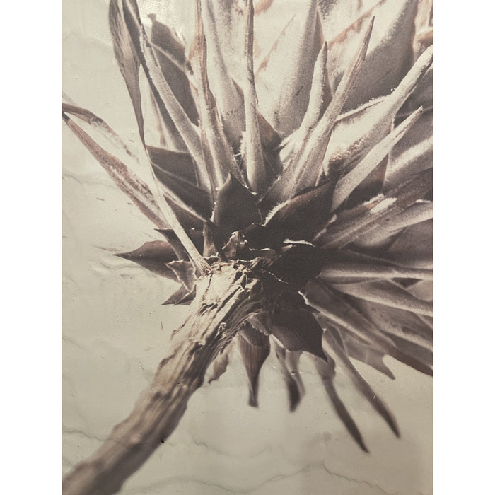 GJ Styles - Stevi Michner Art — Protea Study - SA04 - GreatFurnitureDeal