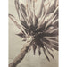 GJ Styles - Stevi Michner Art — Protea Study - SA04 - GreatFurnitureDeal