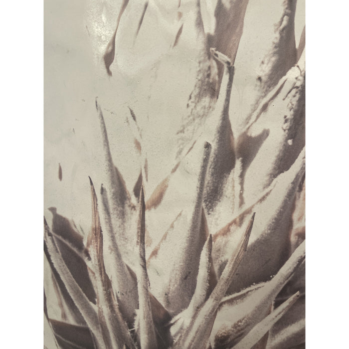 GJ Styles - Stevi Michner Art — Protea Study - SA04 - GreatFurnitureDeal
