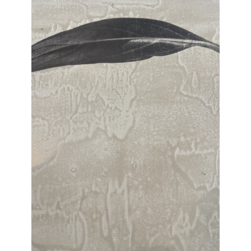 GJ Styles - Stevi Michner Art — Leaf Studies - SA07 - GreatFurnitureDeal