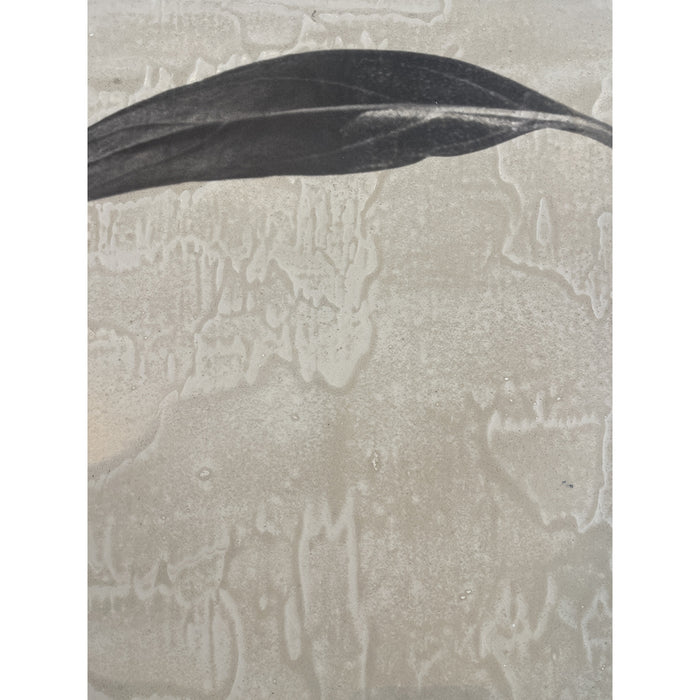 GJ Styles - Stevi Michner Art — Leaf Studies - SA07 - GreatFurnitureDeal