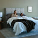 Malouf - M555 Cal King Smart Adjustable Bed Base - STMAM555CKAB - GreatFurnitureDeal