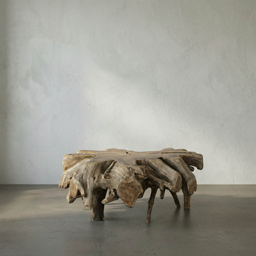 NOIR Furniture - Teak Root Coffee Table - TEAK101 - GreatFurnitureDeal