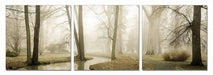 VIG Furniture - Modrest Mist 3-Panel Photo On Canvas - VGSCSH-71192ABC - GreatFurnitureDeal