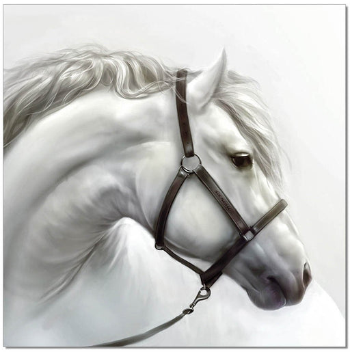 J&M Furniture - White Horse - SB-61184 Wall Art - 18193 - GreatFurnitureDeal