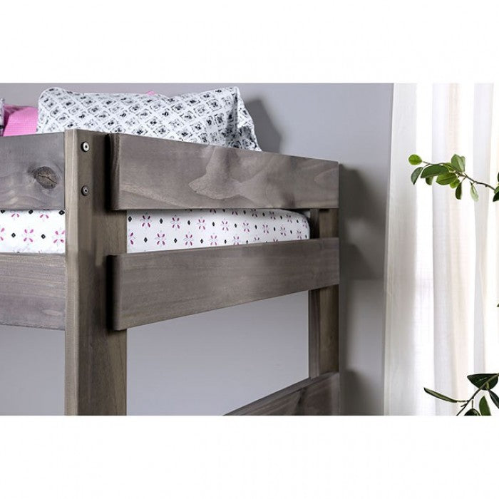 Furniture of America - Arlette Twin/Twin Bunk Bed in Gray - AM-BK100GY-BED-SLAT - GreatFurnitureDeal