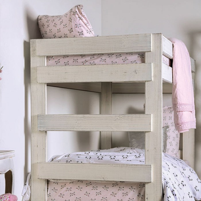 Furniture of America - Arlette Twin/Twin Bunk Bed in White - AM-BK100WH-BED-SLAT - GreatFurnitureDeal