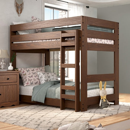 Furniture of America - Melitta Twin Bunk Bed in Mahogany - AM-BK300MH-BED - GreatFurnitureDeal