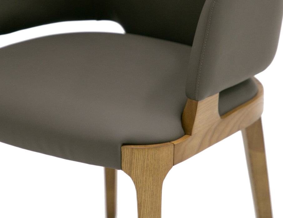 VIG Furniture - Modrest Baskin Brown and Walnut Arm Dining Chair (Set of 2) - VGCS-ACH-21093 - GreatFurnitureDeal