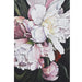 Bramble - Pink Peony on Canvas 30 x 30 w/o Frame - BR-C1015-28153------ - GreatFurnitureDeal