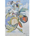 Bramble - Dragon Pitaya on Canvas 30 x 30 w/o Frame - BR-C1028-28153------ - GreatFurnitureDeal