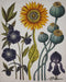 Bramble - Poppy Flower on Canvas 30 x 30 w/o Frame - BR-C1037-28153------ - GreatFurnitureDeal