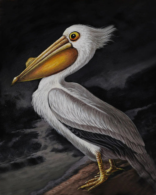 Bramble - Pelican on Canvas 30 x 40 w/o Frame - BR-C1042-28154------ - GreatFurnitureDeal