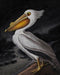 Bramble - Pelican on Canvas 48 x 36 w/o Frame - BR-C1042-28156------ - GreatFurnitureDeal