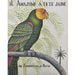 Bramble - New Parrot Artwork on Canvas 30 x 40 w/o Frame - BR-C462-28154------ - GreatFurnitureDeal