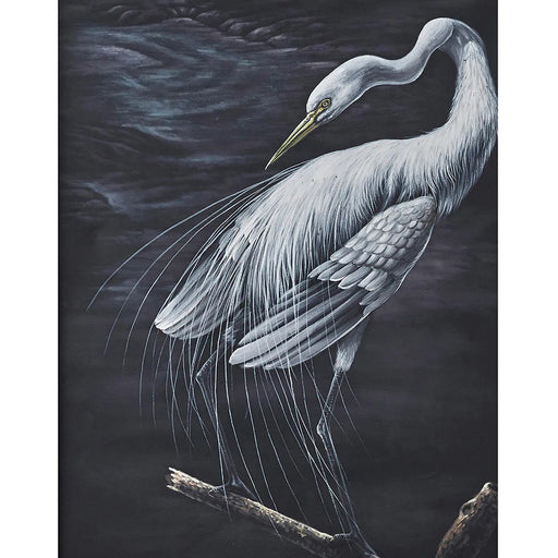 Bramble - Snowy Egret on Canvas 60 x 40 w/o Frame - BR-C749-28157------ - GreatFurnitureDeal