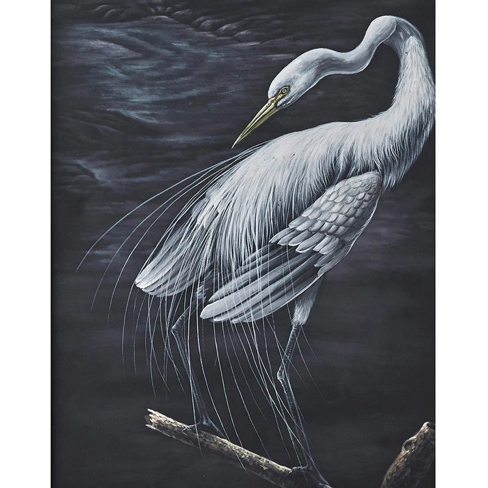 Bramble - Snowy Egret on Canvas 30 x 30 w/o Frame - BR-C749-28153------ - GreatFurnitureDeal