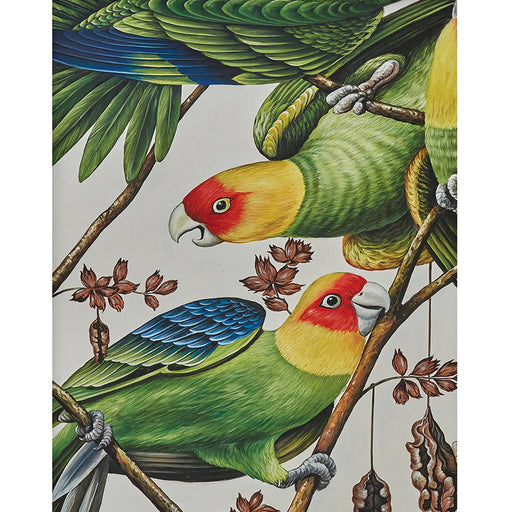 Bramble - Scarlet Macaw on Canvas 30 x 30 w/o Frame - BR-C750-28153------ - GreatFurnitureDeal