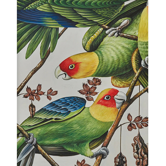 Bramble - Scarlet Macaw on Canvas 60 x 40 w/o Frame - BR-C750-28157------ - GreatFurnitureDeal