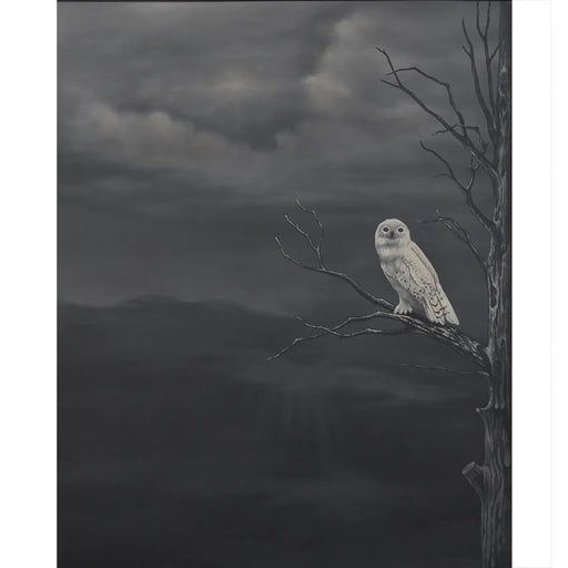 Bramble - White Owl on Canvas x 24 w/o Frame - BR-C865-28155------ - GreatFurnitureDeal