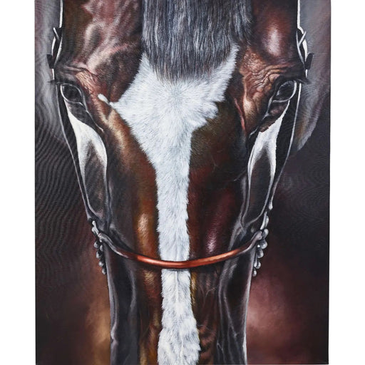 Bramble - Bucephalus Horse on Canvas x 24 w/o Frame - BR-C911-28155------ - GreatFurnitureDeal