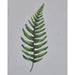 Bramble - Boston Fern on Canvas 48 x 36 w/o Frame - BR-C956-28156------ - GreatFurnitureDeal