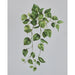 Bramble - Heart Leaf on Canvas 36 x 24 w/o Frame - BR-C962-28155------ - GreatFurnitureDeal