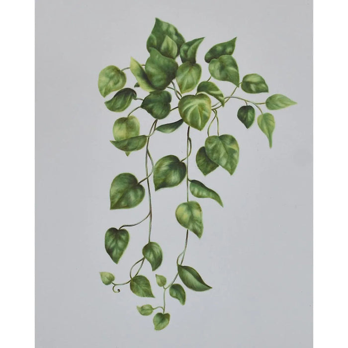 Bramble - Heart Leaf on Canvas 48 x 36 w/o Frame - BR-C962-28156------ - GreatFurnitureDeal