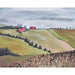 Bramble - Farm Field on Canvas 16 x 20 w/o Frame - BR-C968-28152------ - GreatFurnitureDeal