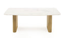 VIG Furniture - Modrest - Cambridge White Marble & Mango Rectangular Dining Table - VGEDRID120004-RCT - GreatFurnitureDeal