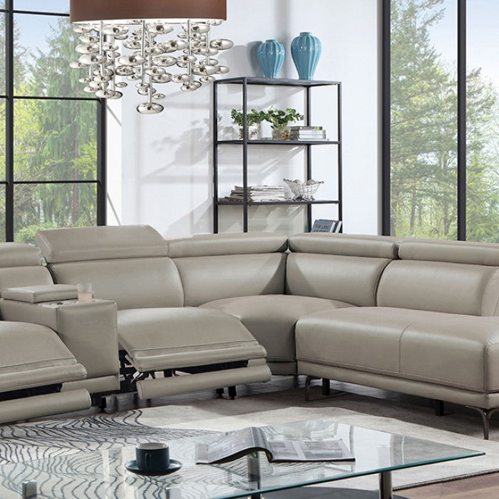Furniture of America - Linwurst Sectional in Taupe - CM6457GY-PM