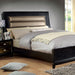 Furniture of America - Golva King Bed in Black/Taupe - CM7295-EK - GreatFurnitureDeal