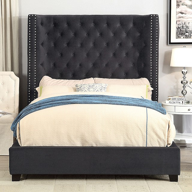 Furniture of America - Rosabelle Queen Bed in Black - CM7669BK-Q - GreatFurnitureDeal